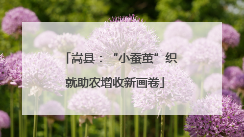 嵩县：“小蚕茧”织就助农增收新画卷
