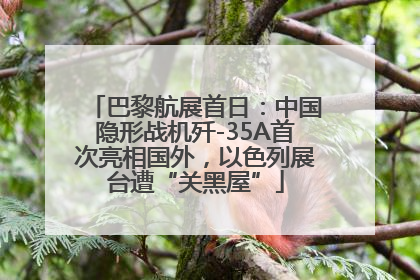 巴黎航展首日：中国隐形战机歼-35A首次亮相国外，以色列展台遭“关黑屋”