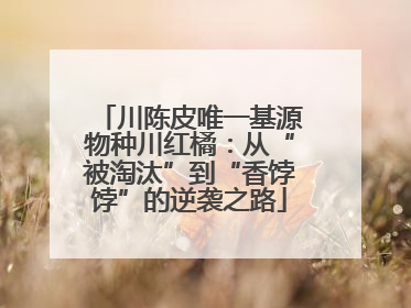 川陈皮唯一基源物种川红橘：从“被淘汰”到“香饽饽”的逆袭之路