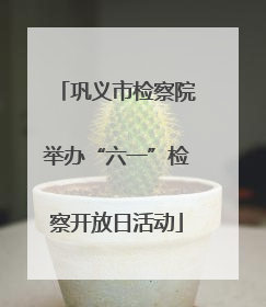 巩义市检察院举办“六一”检察开放日活动