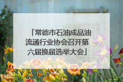 常德市石油成品油流通行业协会召开第六届换届选举大会