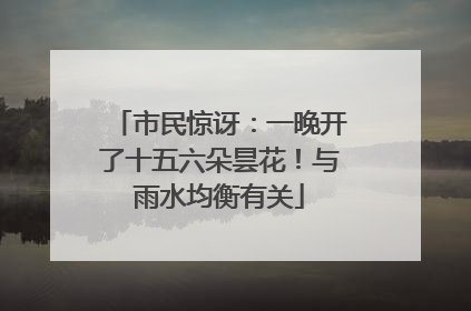 市民惊讶：一晚开了十五六朵昙花！与雨水均衡有关