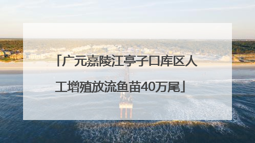 广元嘉陵江亭子口库区人工增殖放流鱼苗40万尾