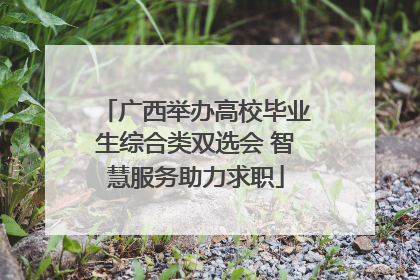 广西举办高校毕业生综合类双选会 智慧服务助力求职