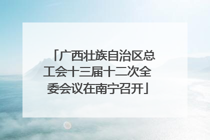 广西壮族自治区总工会十三届十二次全委会议在南宁召开