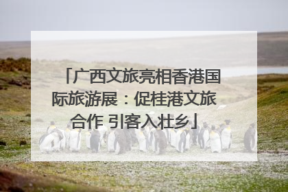 广西文旅亮相香港国际旅游展：促桂港文旅合作 引客入壮乡