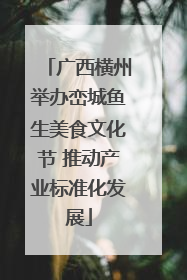 广西横州举办峦城鱼生美食文化节 推动产业标准化发展