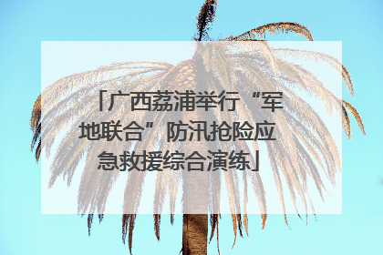 广西荔浦举行“军地联合”防汛抢险应急救援综合演练