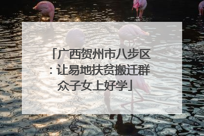 广西贺州市八步区：让易地扶贫搬迁群众子女上好学
