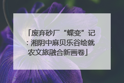 废弃砂厂“蝶变”记：湘阴中麻贝乐谷绘就农文旅融合新画卷