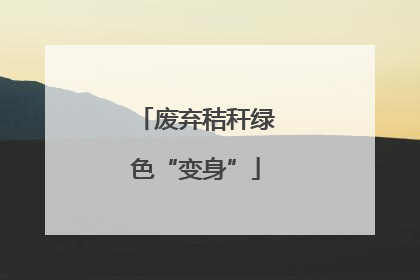 废弃秸秆绿色“变身”
