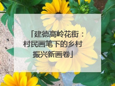 建德高岭花街：村民画笔下的乡村振兴新画卷