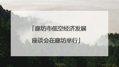 廊坊市低空经济发展座谈会在廊坊举行