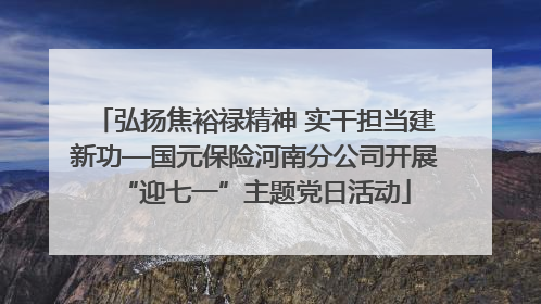弘扬焦裕禄精神 实干担当建新功—国元保险河南分公司开展“迎七一”主题党日活动