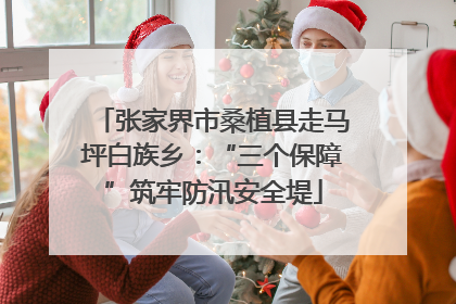 张家界市桑植县走马坪白族乡：“三个保障”筑牢防汛安全堤