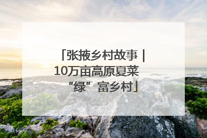 张掖乡村故事｜10万亩高原夏菜“绿”富乡村