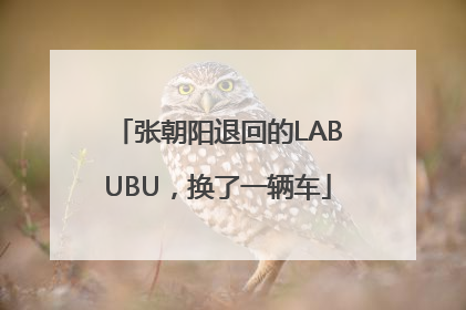 张朝阳退回的LABUBU，换了一辆车