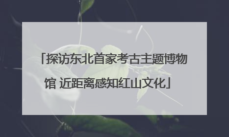 探访东北首家考古主题博物馆 近距离感知红山文化