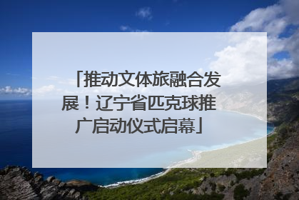 推动文体旅融合发展！辽宁省匹克球推广启动仪式启幕