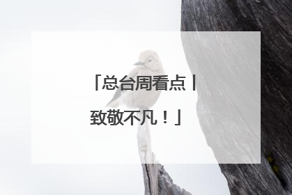 总台周看点丨致敬不凡！