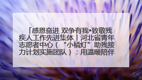 感恩奋进 双争有我•致敬残疾人工作先进集体丨河北省青年志愿者中心（“小橘灯”助残接力计划实施团队）：用温暖陪伴，守护特殊孩子成长