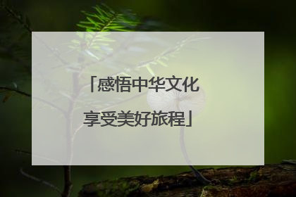 感悟中华文化 享受美好旅程