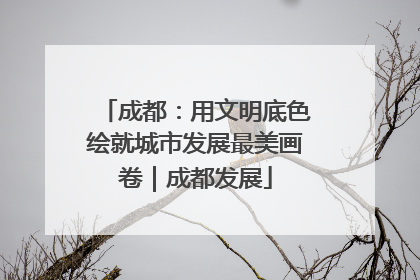 成都：用文明底色绘就城市发展最美画卷｜成都发展