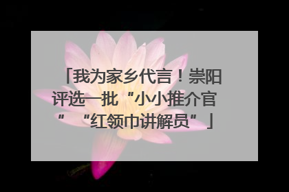 我为家乡代言！崇阳评选一批“小小推介官”“红领巾讲解员”
