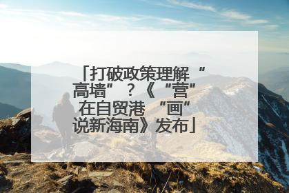 打破政策理解“高墙”？《“营”在自贸港 “画”说新海南》发布