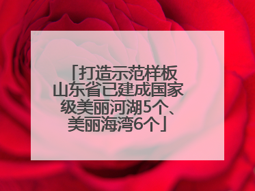 打造示范样板 山东省已建成国家级美丽河湖5个、美丽海湾6个