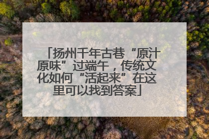 扬州千年古巷“原汁原味”过端午，传统文化如何“活起来”在这里可以找到答案