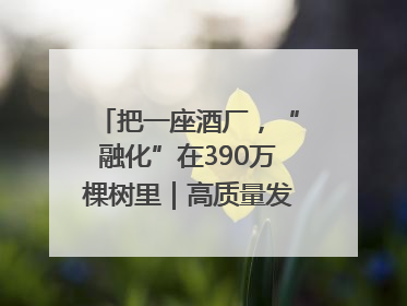 把一座酒厂，“融化”在390万棵树里｜高质量发展看川酒｜舍得酒｜舍得酒业｜舍得老酒｜沱牌酒