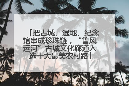把古城、湿地、纪念馆串成珍珠链，“鲁风运河”古城文化廊道入选十大最美农村路