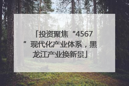 投资聚焦“4567”现代化产业体系，黑龙江产业换新景