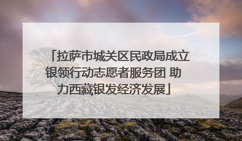 拉萨市城关区民政局成立银领行动志愿者服务团 助力西藏银发经济发展