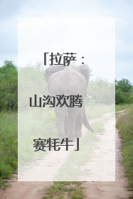 拉萨：山沟欢腾赛牦牛