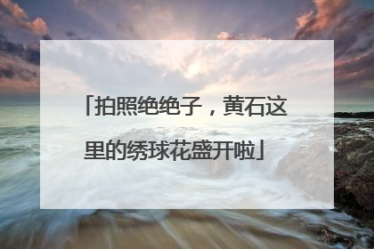 拍照绝绝子，黄石这里的绣球花盛开啦