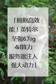 拥抱高效能！英特尔至强6为g4il算力服务器注入强大动力