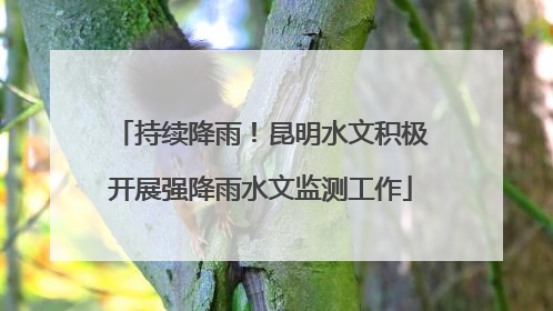 持续降雨！昆明水文积极开展强降雨水文监测工作