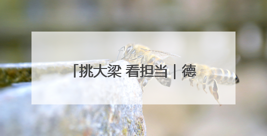挑大梁 看担当｜德州市：坚持“四抓” 提升机关党建质效