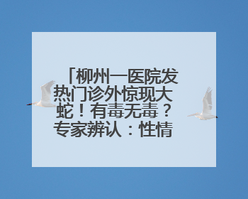 柳州一医院发热门诊外惊现大蛇！有毒无毒？专家辨认：性情温顺