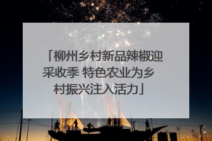 柳州乡村新品辣椒迎采收季 特色农业为乡村振兴注入活力