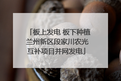 板上发电 板下种植 兰州新区段家川农光互补项目并网发电