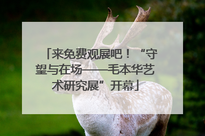 来免费观展吧！“守望与在场——毛本华艺术研究展”开幕