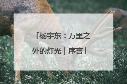 杨宇东：万里之外的灯光｜序言