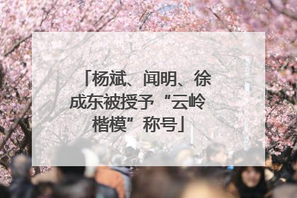 杨斌、闻明、徐成东被授予“云岭楷模”称号