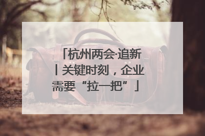 杭州两会·追新丨关键时刻，企业需要“拉一把”