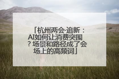 杭州两会·追新：AI如何让消费突围？场景和路径成了会场上的高频词