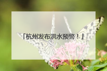 杭州发布洪水预警！