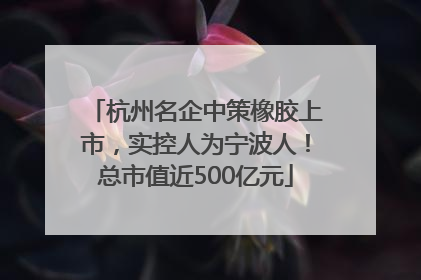 杭州名企中策橡胶上市，实控人为宁波人！总市值近500亿元